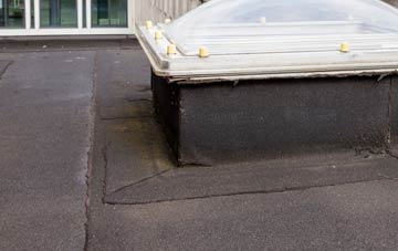 disadvantages of Apse Heath flat roofs