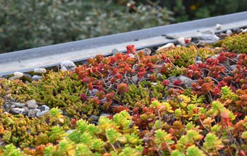 the cost of Apse Heath green roof installation