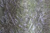 Apse Heath fibreglass roof work